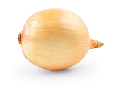 Onion