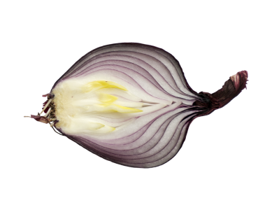 Onion