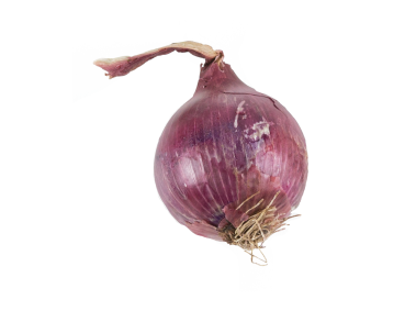 Onion