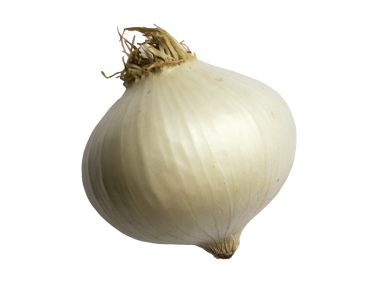 Onion