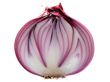 Onion