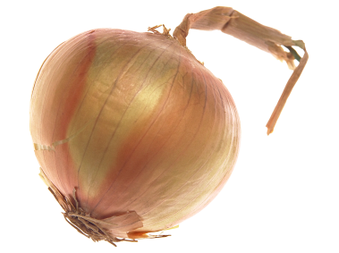 Onion