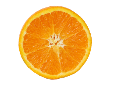 Orange Slice