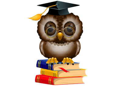 Owl with School Books and Cap