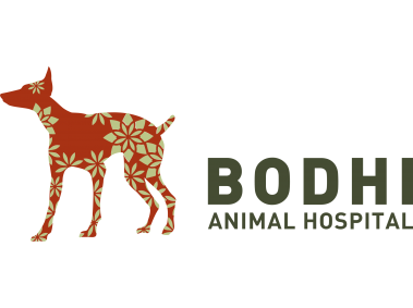 Bodhi Animal Hospital Logo