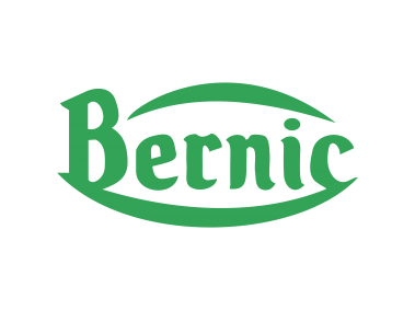 Bernic Logo