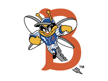 Binghamton Mets   Logo