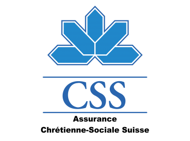 CSS Logo