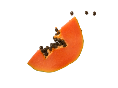 Papaya