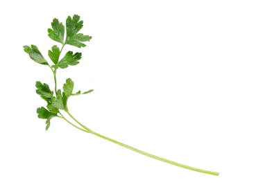 Parsley