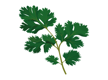 Parsley