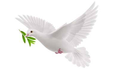 Peace Dove