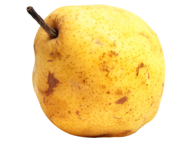 Pear