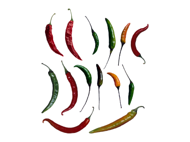 Peppers