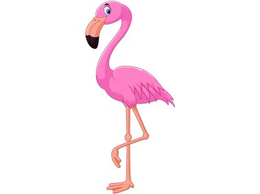 Pink Flamingo