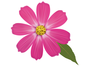 Pink Flower