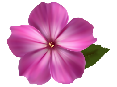 Pink Flower