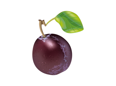 Plum