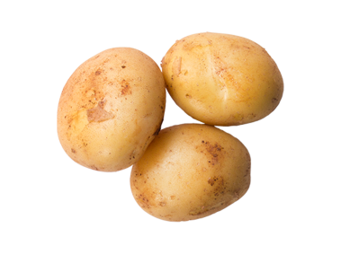 Potato