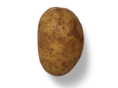 Potato