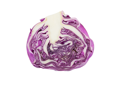 Purple Cabbage