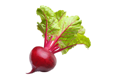 Radish