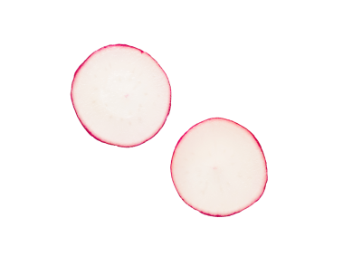 Radish Slice