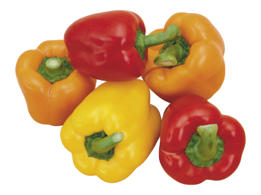 Red and Green Peppers