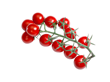 Red Cherry Tomatoes