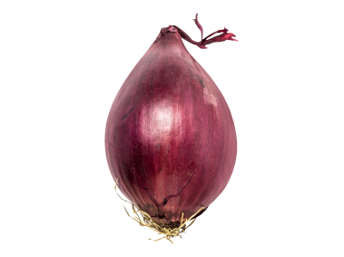 Red Onion