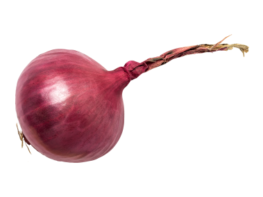 Red Onion