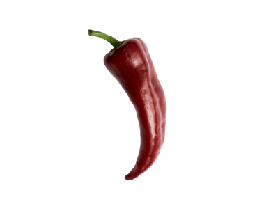 Red Pepper