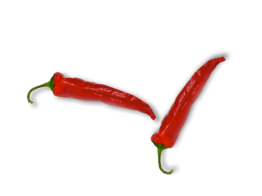 Red Pepper