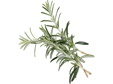 Rosemary