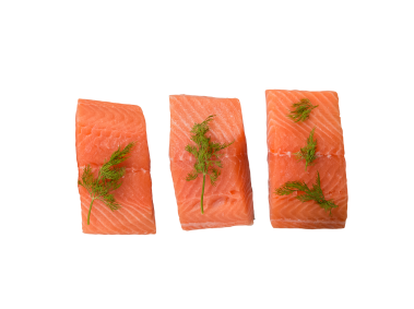 Salmon Fish