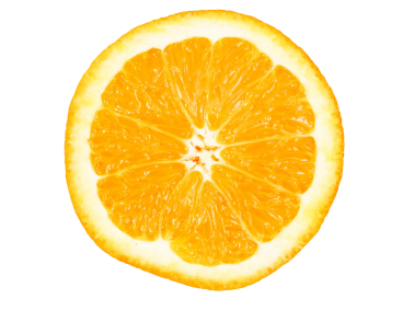 Sliced Orange