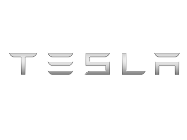 Tesla Metallic Logo