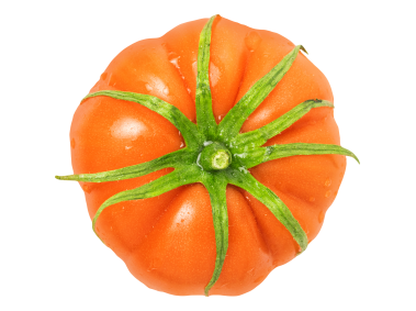 Tomato