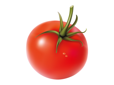 Tomato