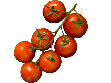 Tomatoes