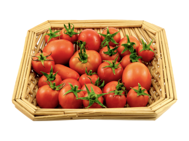 Tomatoes in Basket