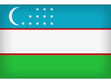 Uzbekistan Large Flag