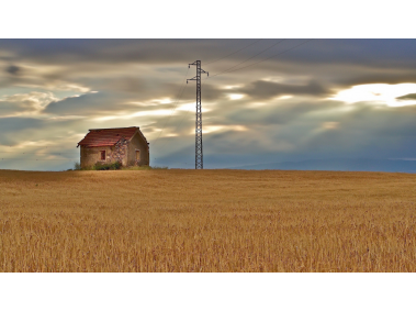 Wheat Field Wallpaper