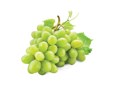 White Grape