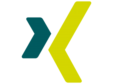 Xing icon