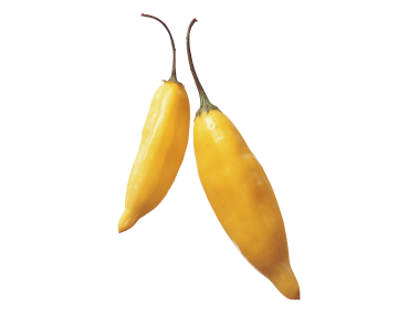 Yellow Hot Pepper