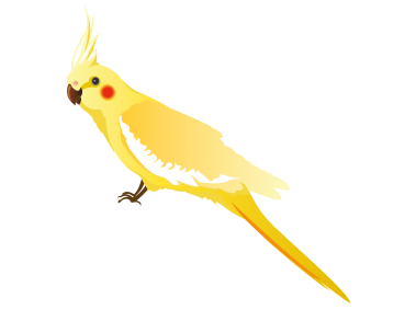 Yellow Parrot