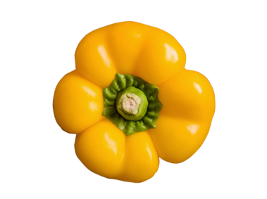 Yellow Pepper