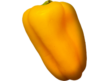 Yellow Pepper