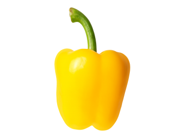 Yellow Pepper